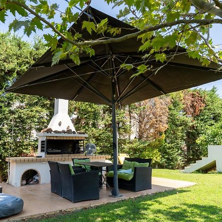 Beautiful Summer Villa In Chalkoutsi Khalkoutsion 外观 照片