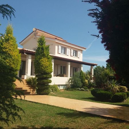 Beautiful Summer Villa In Chalkoutsi Khalkoutsion 外观 照片