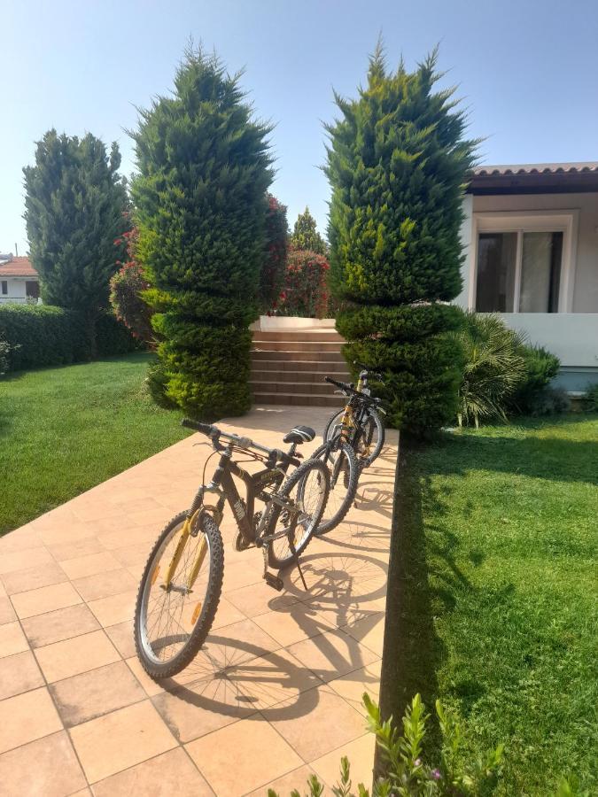 Beautiful Summer Villa In Chalkoutsi Khalkoutsion 外观 照片