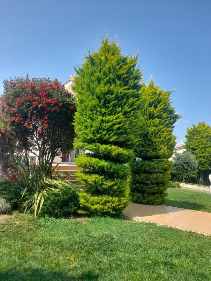 Beautiful Summer Villa In Chalkoutsi Khalkoutsion 外观 照片