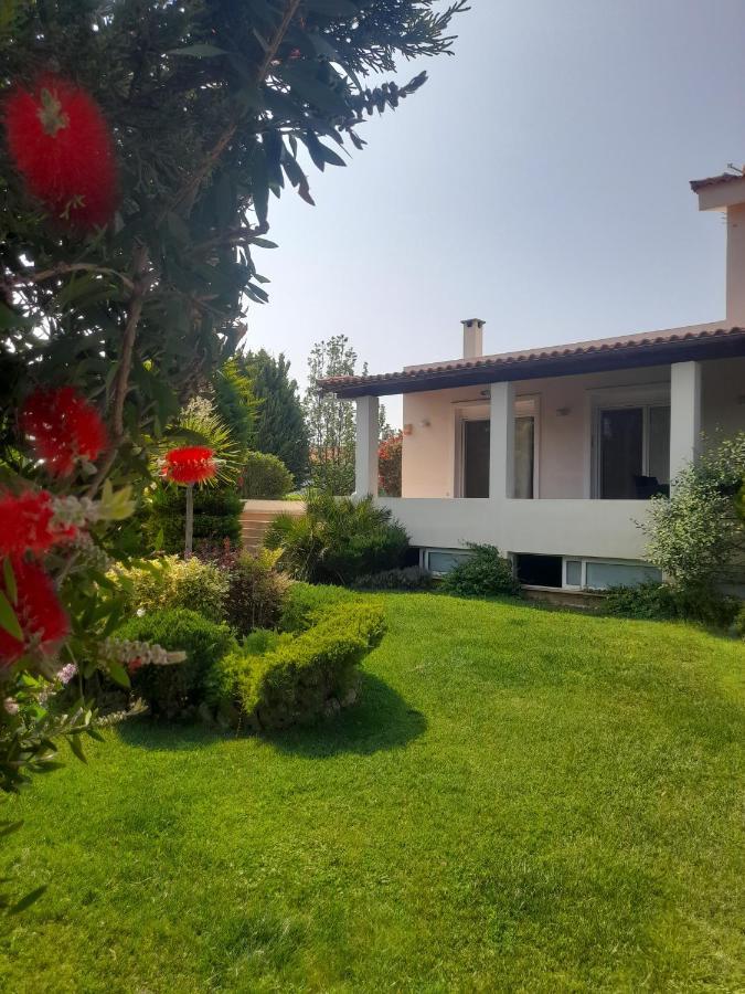 Beautiful Summer Villa In Chalkoutsi Khalkoutsion 外观 照片