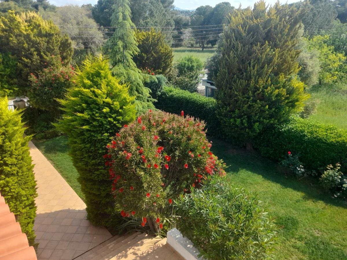 Beautiful Summer Villa In Chalkoutsi Khalkoutsion 外观 照片