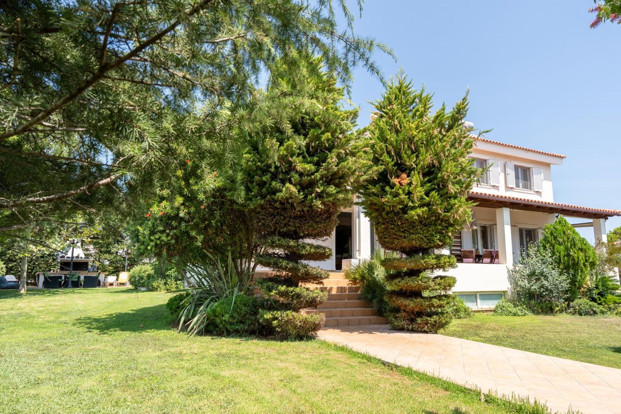 Beautiful Summer Villa In Chalkoutsi Khalkoutsion 外观 照片
