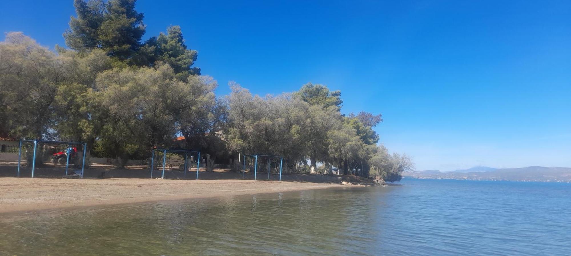 Beautiful Summer Villa In Chalkoutsi Khalkoutsion 外观 照片