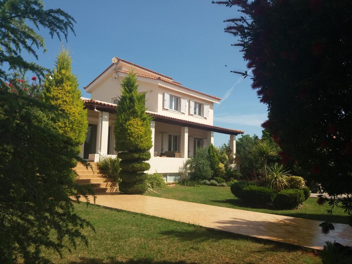 Beautiful Summer Villa In Chalkoutsi Khalkoutsion 外观 照片