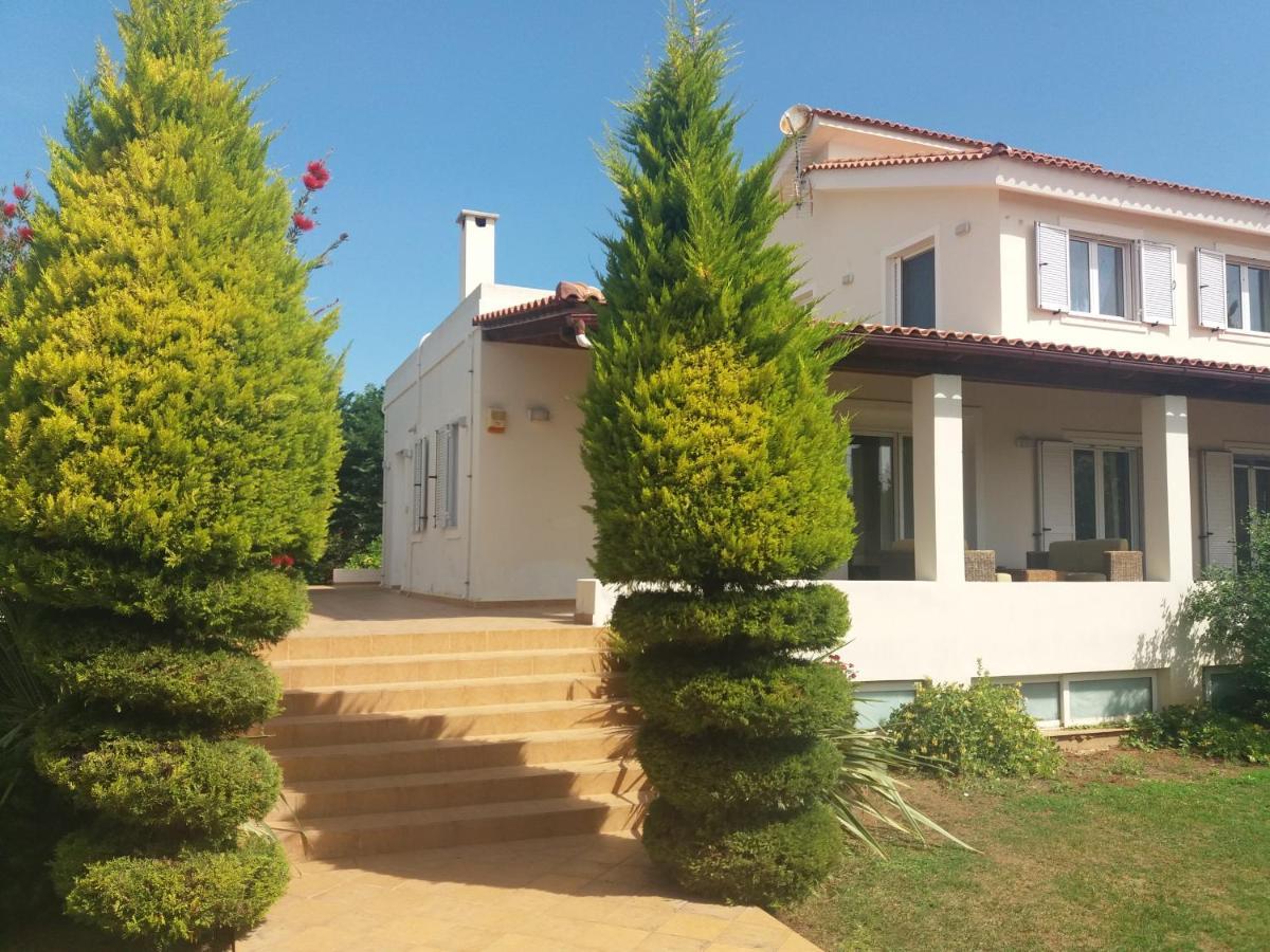 Beautiful Summer Villa In Chalkoutsi Khalkoutsion 外观 照片