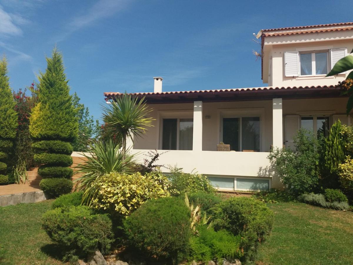 Beautiful Summer Villa In Chalkoutsi Khalkoutsion 外观 照片