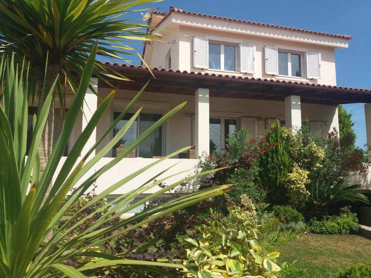 Beautiful Summer Villa In Chalkoutsi Khalkoutsion 外观 照片