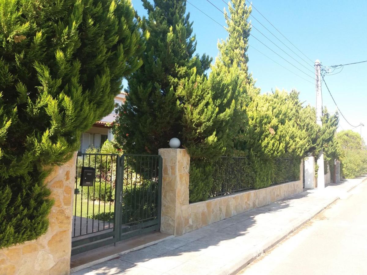 Beautiful Summer Villa In Chalkoutsi Khalkoutsion 外观 照片