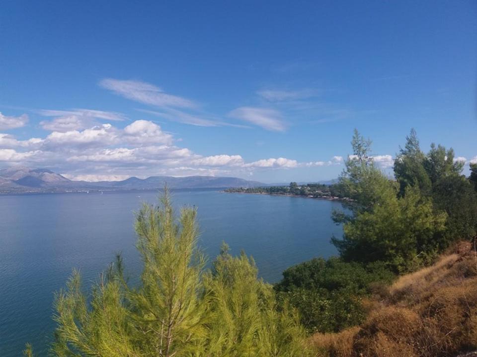Beautiful Summer Villa In Chalkoutsi Khalkoutsion 外观 照片